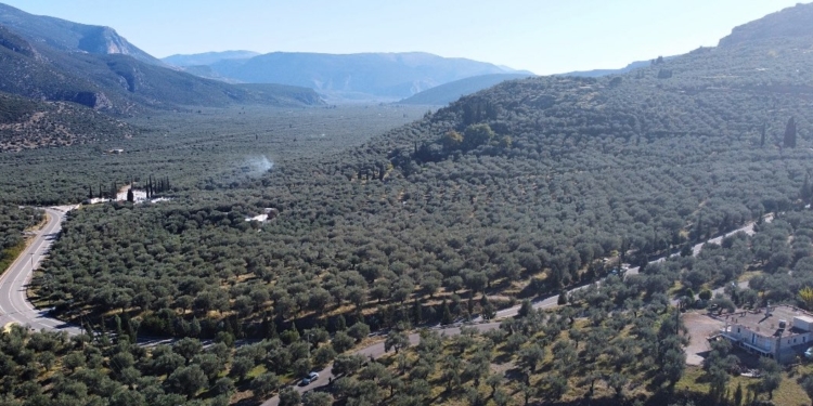 periferiakos_amfissa
