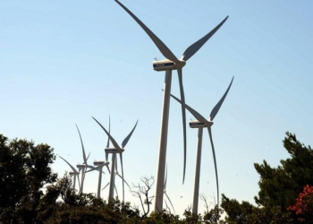 anemogennitries_iparnassos