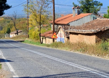 Pano saliva_amfikleia