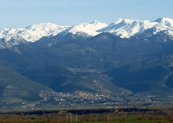 polydrosos_iparnassos