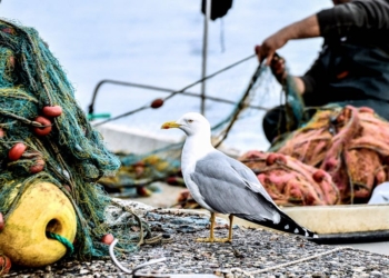 Το Λ/Χ Ιτέας για τη μετακίνηση των αλιέων ως 7 Ιανουαρίου