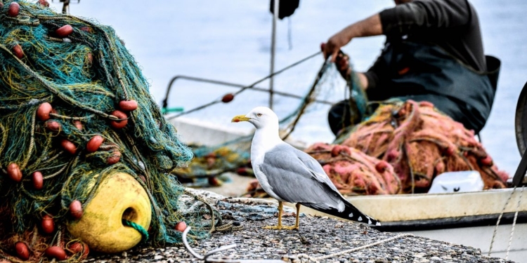Το Λ/Χ Ιτέας για τη μετακίνηση των αλιέων ως 7 Ιανουαρίου