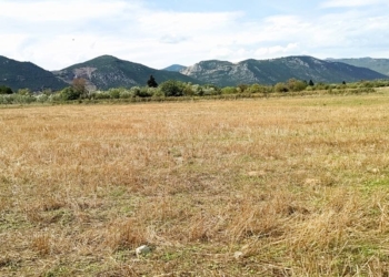 Τα «Food Forest» στο facebook, 16/12/2020