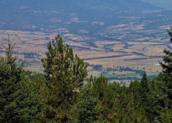 dasos_iparnassos