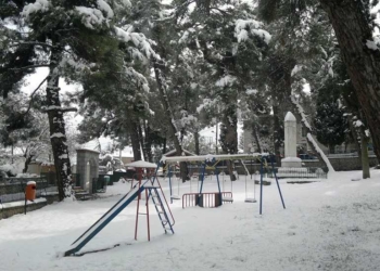 paidiki hara lilaias_iparnassos
