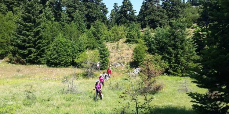 pezoporeia parnassos_iparnassos