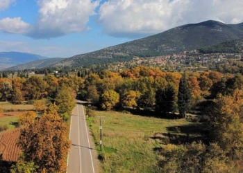 polydrosos_iparnassos (1)