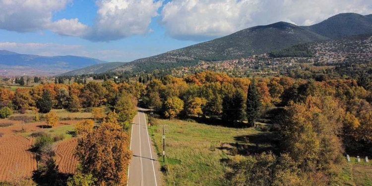 polydrosos_iparnassos (1)