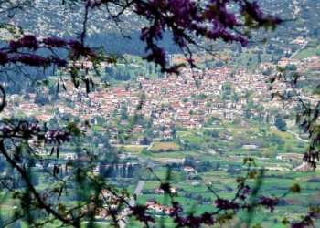 polydrosos_iparnassos (1)