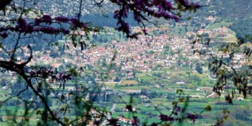 polydrosos_iparnassos (1)
