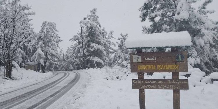 polydrosos_iparnassos