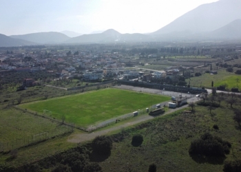 gipedo_tithorea