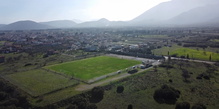 gipedo_tithorea