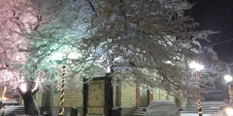 xionia polydrosos_iparnassos