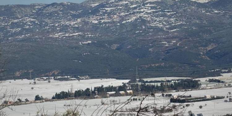 amfikleia_iparnassos