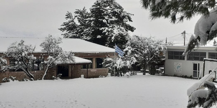 Κλειστά σχολεία σε ΔΕ Γραβιάς και ΔΕ Παρνασσού
