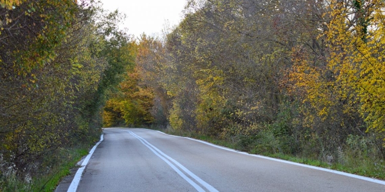 Μέντορες για την Κοινωνική Οικονομία