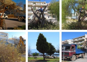 Ετήσιος απολογισμός λιμενικού ταμείου ν. Φωκίδας