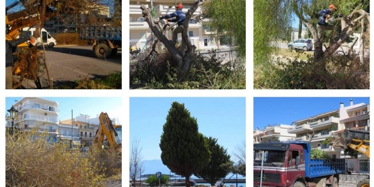 Ετήσιος απολογισμός λιμενικού ταμείου ν. Φωκίδας