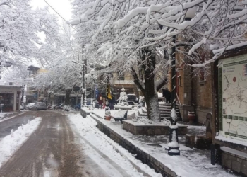 Χιονισμένη Πολύδροσος Φωκίδας