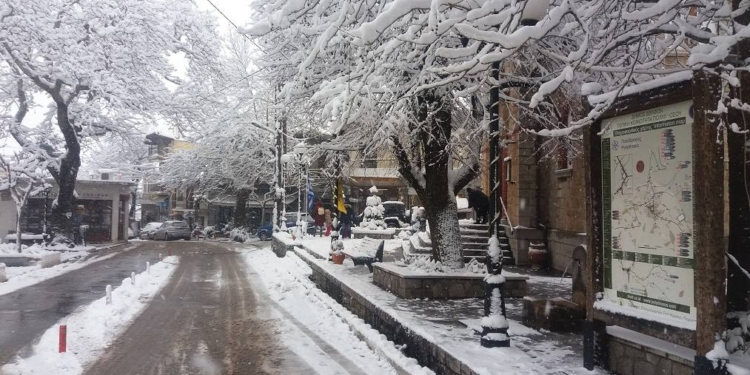 Χιονισμένη Πολύδροσος Φωκίδας