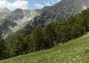vouno_perivallon_iparnassos