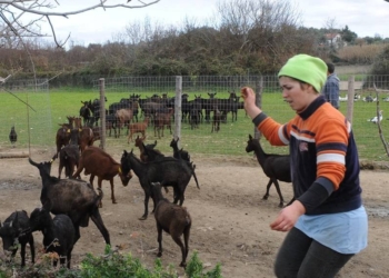 agrotourismos_iparnassos