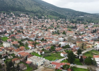 Γυναίκες, ΑΓΡΟΤΙΣΣΕΣ, Γυναικείοι Συνεταιρισμοί