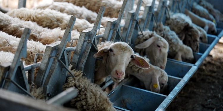 ktinotrofia_iparnassos