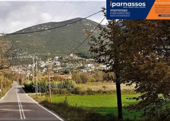 polydrosos_iparnassos (1)