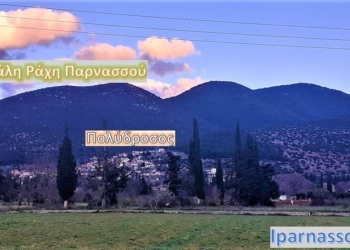 polydrosos_iparnassos