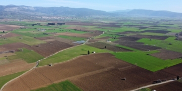 Ανανέωση Αγροτικής Κοινωνίας ή Νέοι Αγρότες;