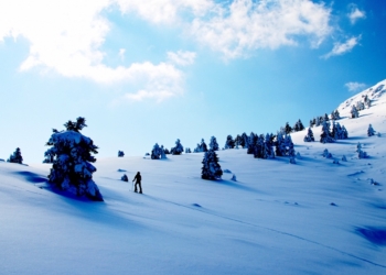 Σταθάς προς ΕΤΑΔ: “Γιατί δεν άνοιξε το Χ.Κ. Παρνασσού”;