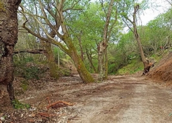 Παρεμβάσεις καλλωπισμού στην Αγία Μαρίνα