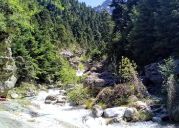 Ψήφισμα για το Η/Υ στα Διπόταμα εκδίδει ο Δήμος Αμφίκλειας-Ελάτειας