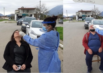 test tithorea_iparnassos