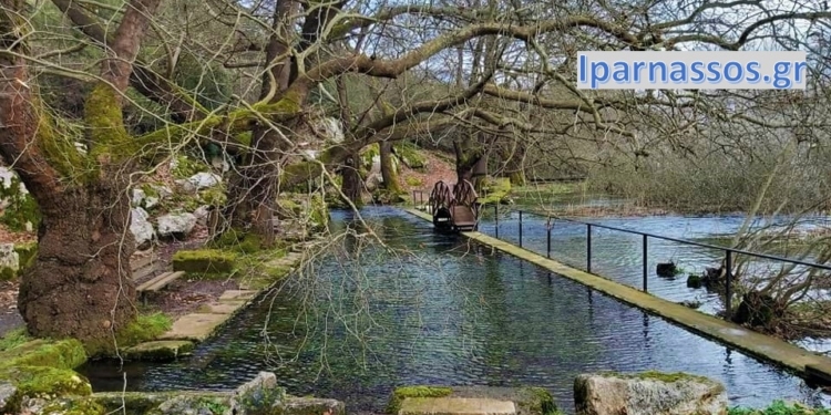agia-eleousa_iparnassos