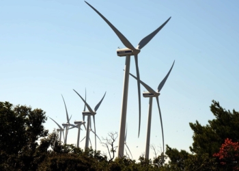 anemogennitries_iparnassos