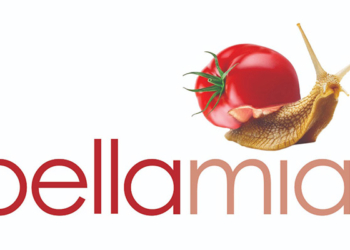 bellamia_iparnassos