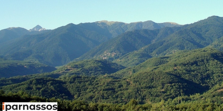 choria makrakomis