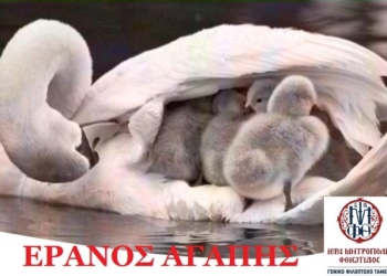 eranos_agapis_iparnassos
