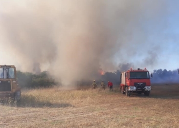 fotia_dimos aliartou thesieon