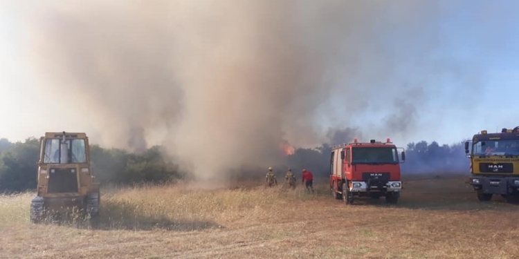 fotia_dimos aliartou thesieon