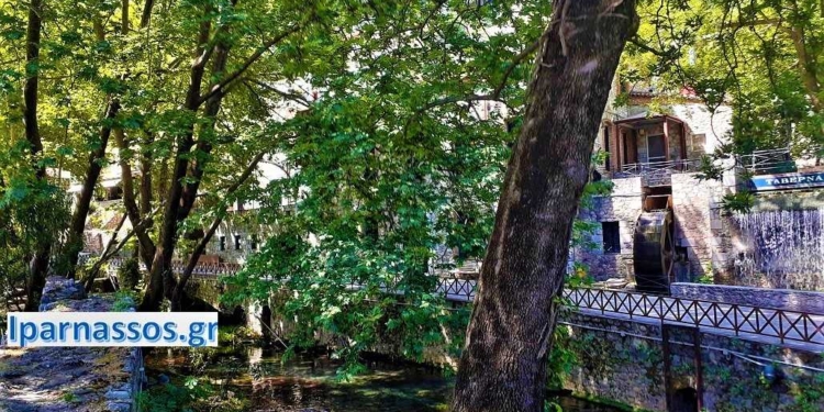 livadia_iparnassos