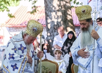 Εκοιμήθη ο εκ Τιθορέας Μακαριστός Μοζαμβίκης, Χρυσόστομος