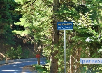 anopolydrosos_iparnassos
