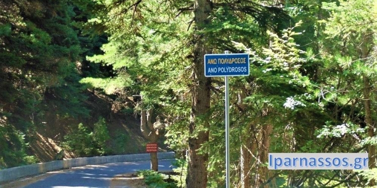 anopolydrosos_iparnassos