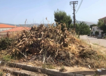 dimos-lokron_iparnassos