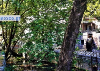 kria_livadeias_iparnassos