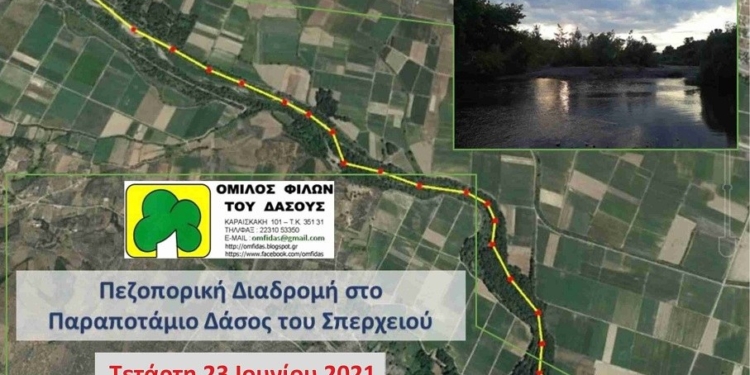 omilos-filon;dasous_iparnassos